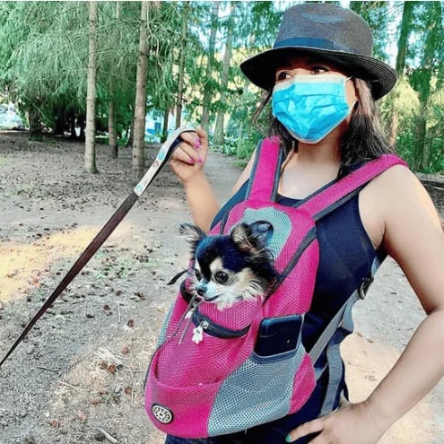🔥2025 Summer Dog Backpack🐶
