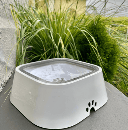 🔥Pet Water Bowl Splash-proof Not Wet Mouth Can Be Car Anti-flip Waterer