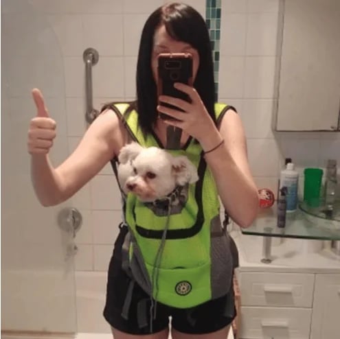 🔥2025 Summer Dog Backpack🐶